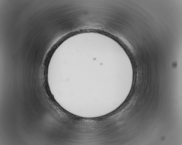 X0000116820878201001151203