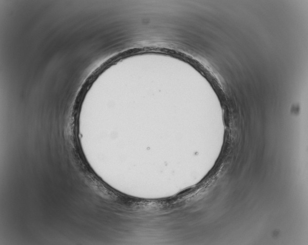 X0000116820879201001151203