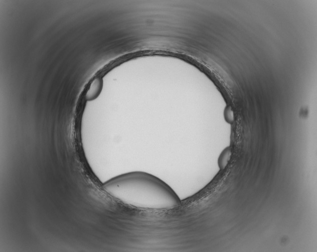 X0000116820880201001151203