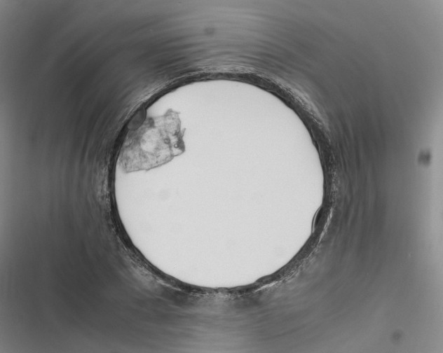 X0000116820881201001151203