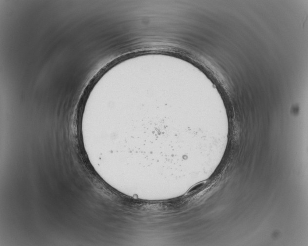 X0000116820883201001151203