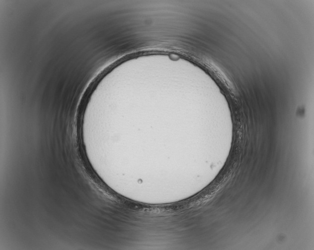 X0000116820884201001151203