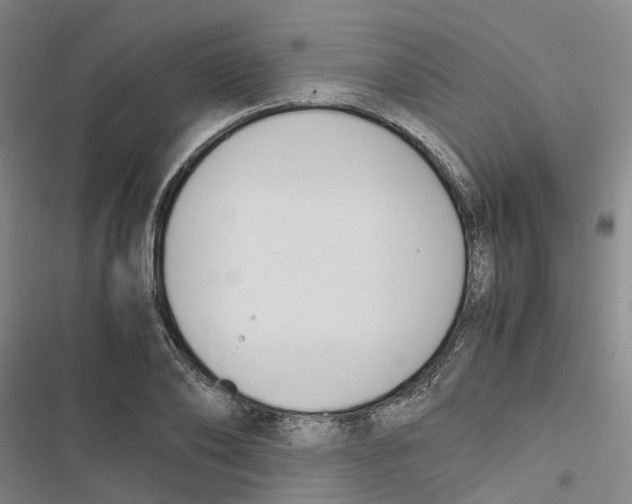 X0000116820886201001151203