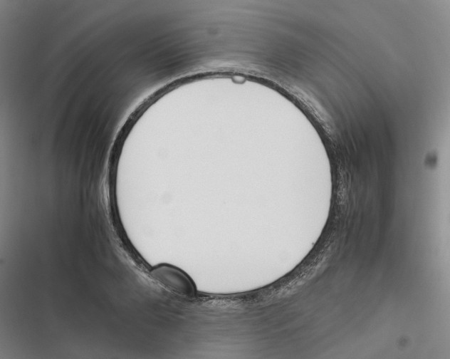 X0000116820888201001151202