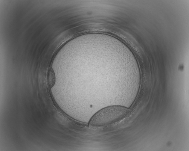 X0000116820889201001151202