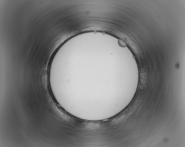 X0000116820890201001151202