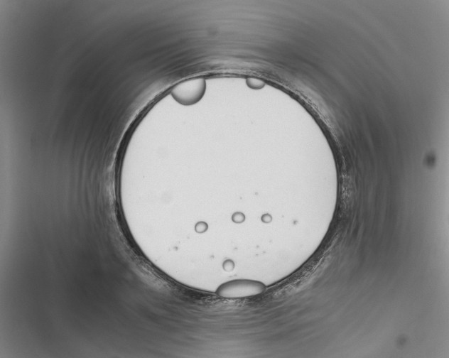 X0000116820891201001151202