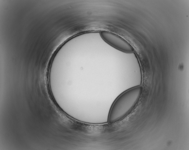 X0000116820893201001151202