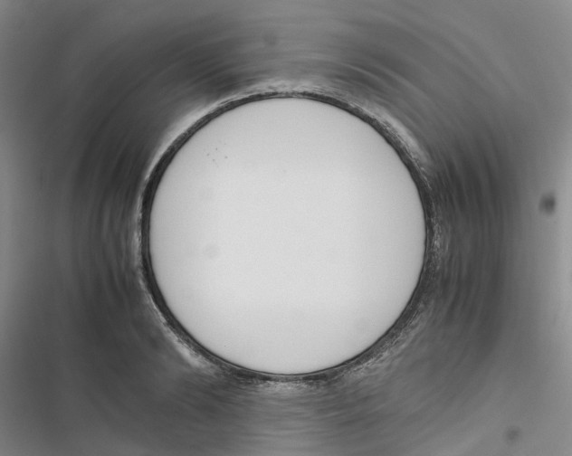 X0000116820894201001151202