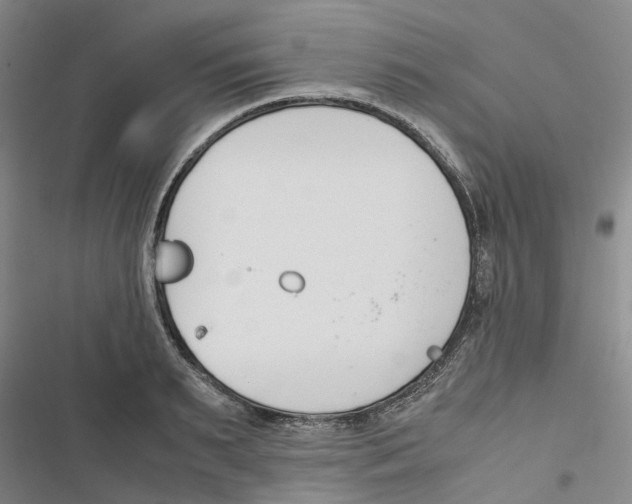 X0000116820895201001151202