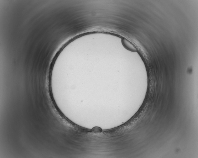 X0000116820896201001151202