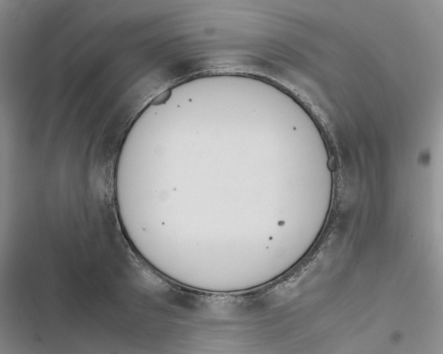 X0000116820897201001151202