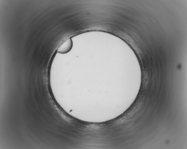 X0000116820898201001151202