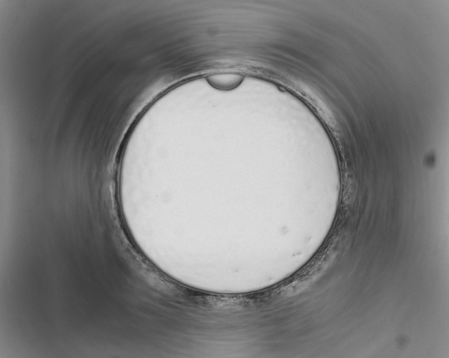 X0000116820899201001151202