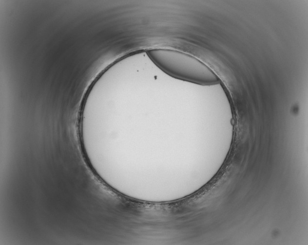 X0000116820901201001151202