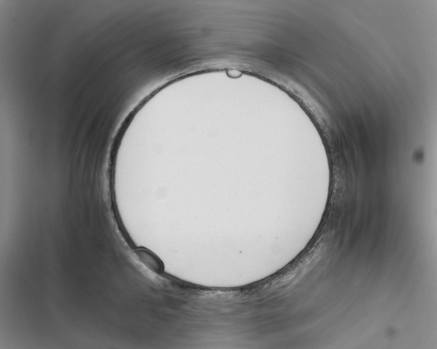 X0000116820902201001151202