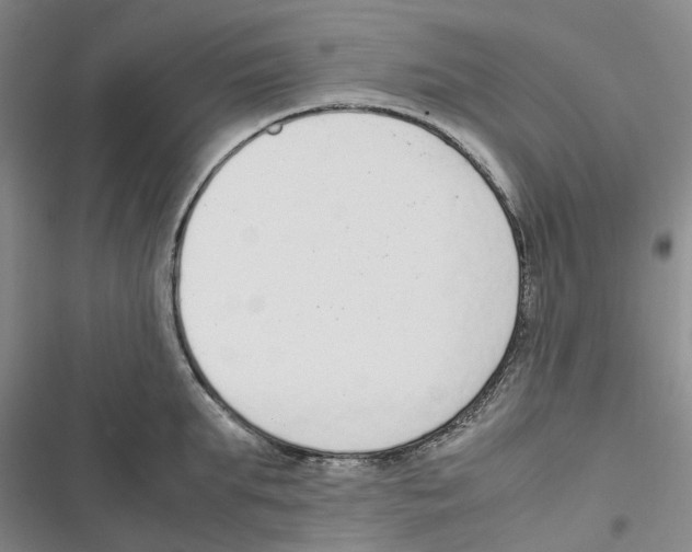 X0000116820903201001151202