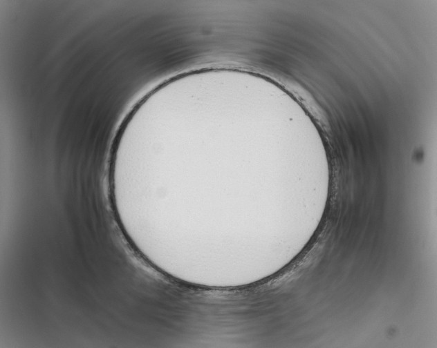 X0000116820904201001151202