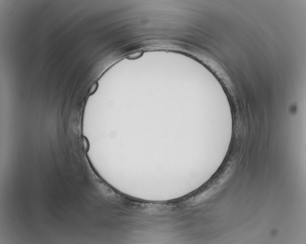 X0000116820905201001151202