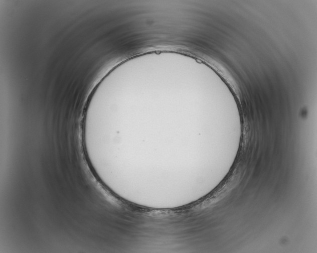 X0000116820906201001151202