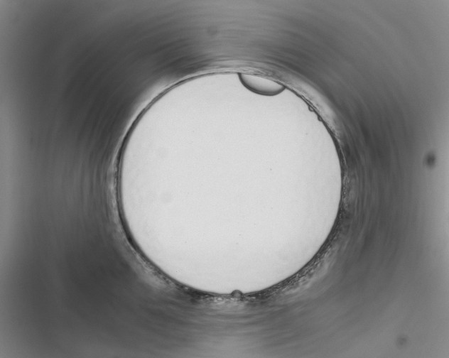 X0000116820907201001151202