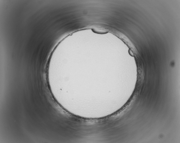 X0000116820908201001151202