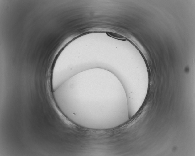 X0000116820909201001151202