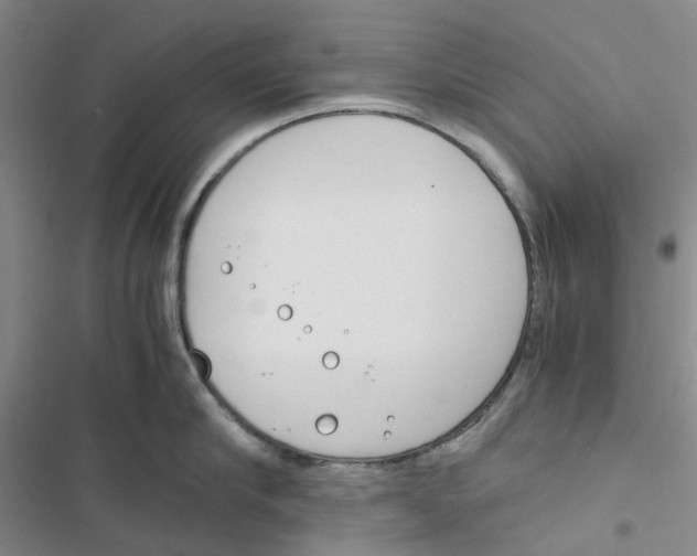 X0000116820910201001151202