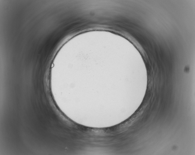 X0000116820911201001151202