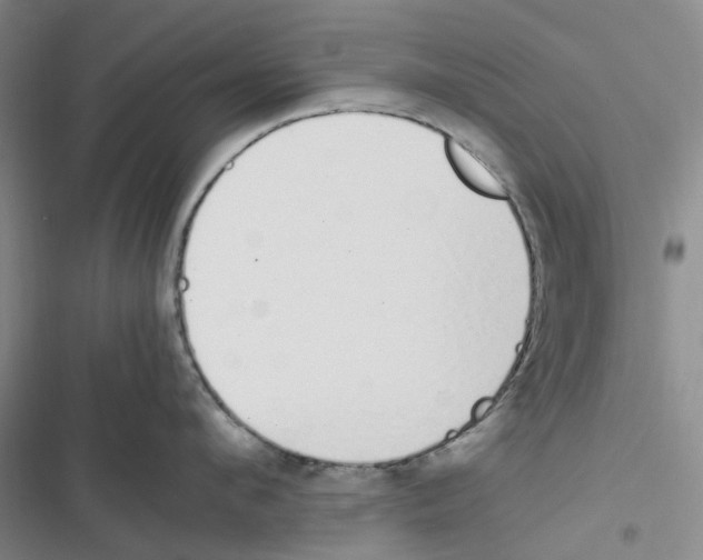 X0000116820912201001151202