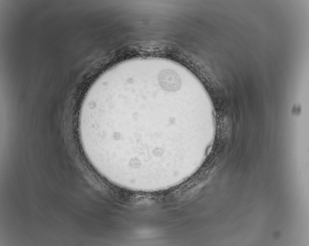 X0000116820913201001151202