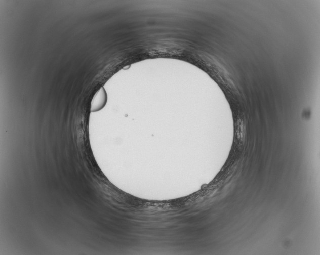 X0000116820915201001151202