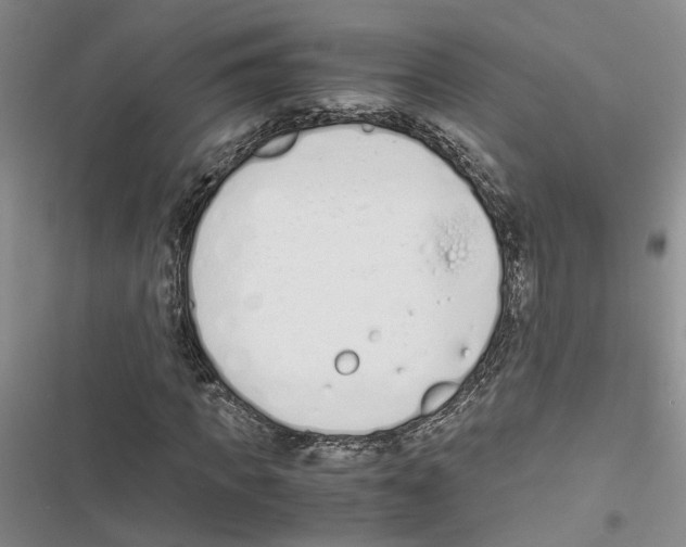 X0000116820917201001151202