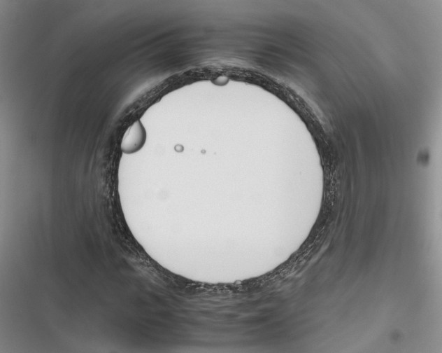 X0000116820919201001151202