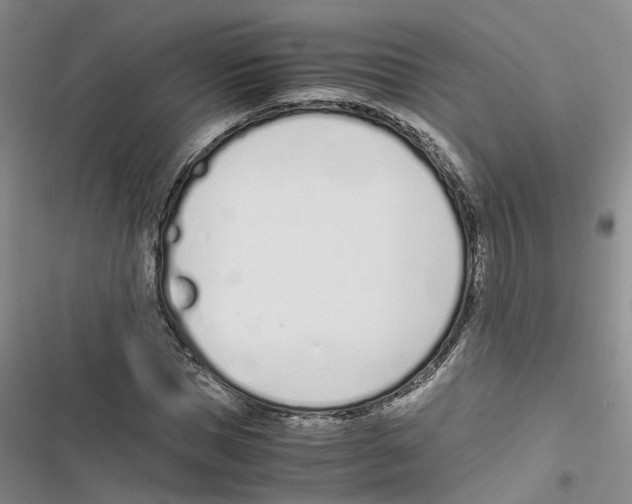 X0000116820921201001151202