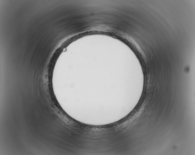 X0000116820923201001151202