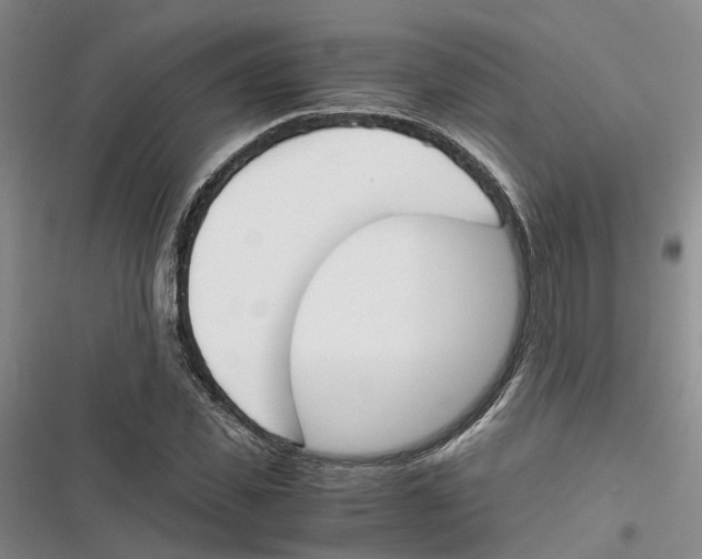 X0000116820925201001151202