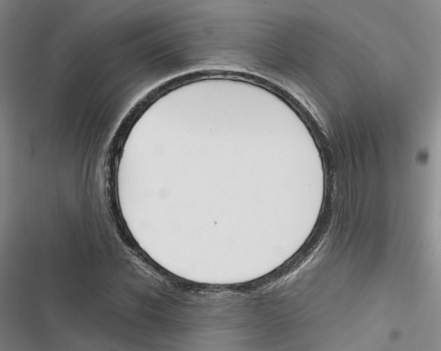 X0000116820926201001151202