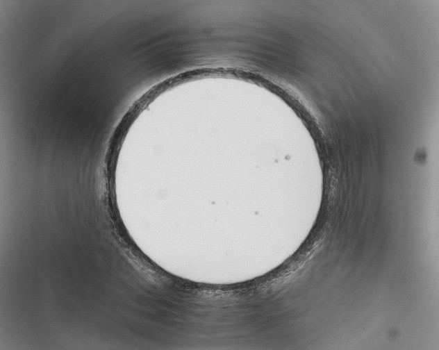 X0000116820927201001151202