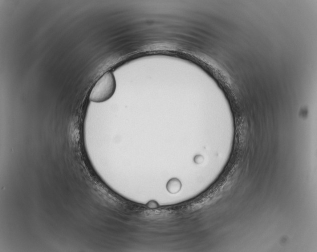 X0000116820929201001151202