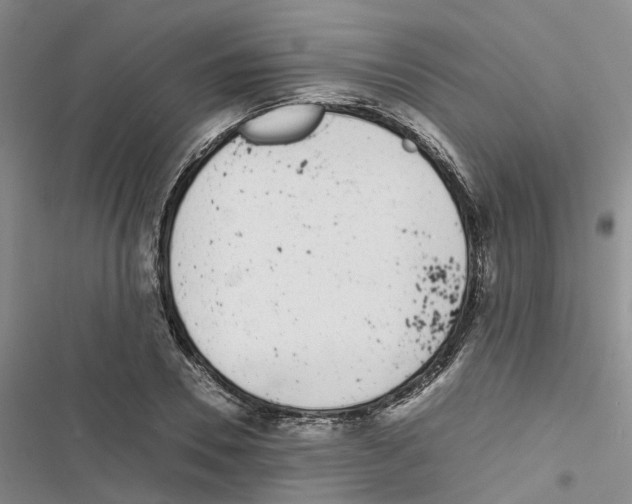 X0000116820930201001151202