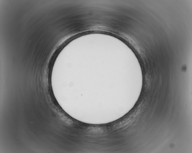 X0000116820931201001151202