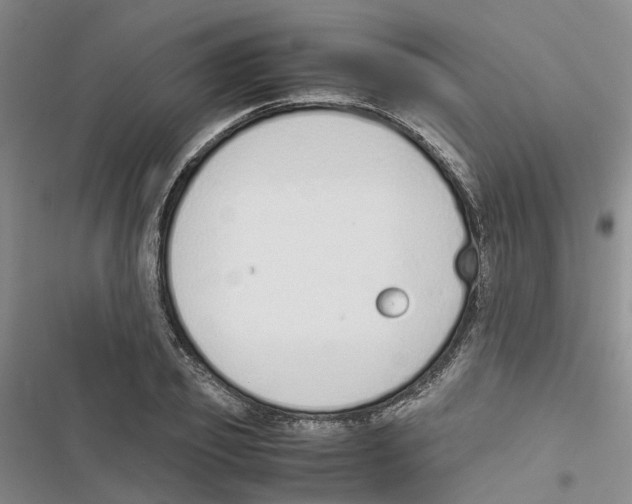 X0000116820933201001151202