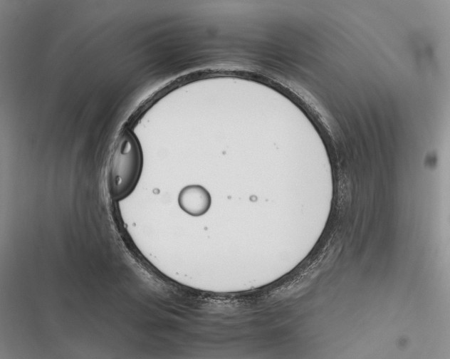 X0000116820935201001151202