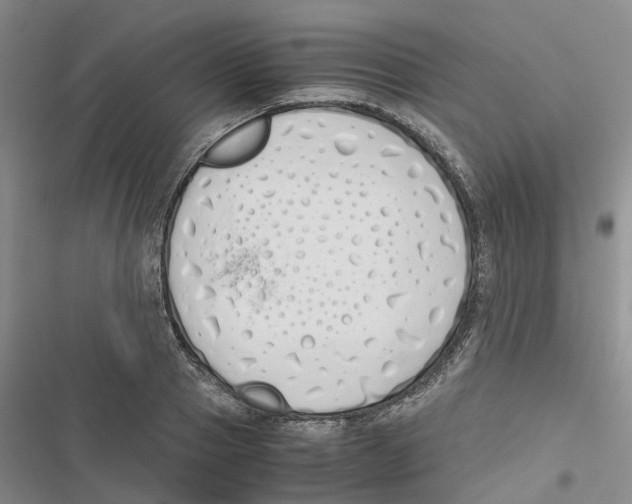 X0000116820937201001151202