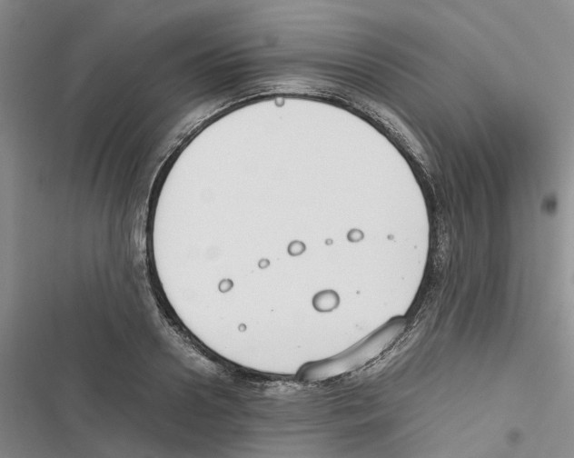 X0000116820938201001151202