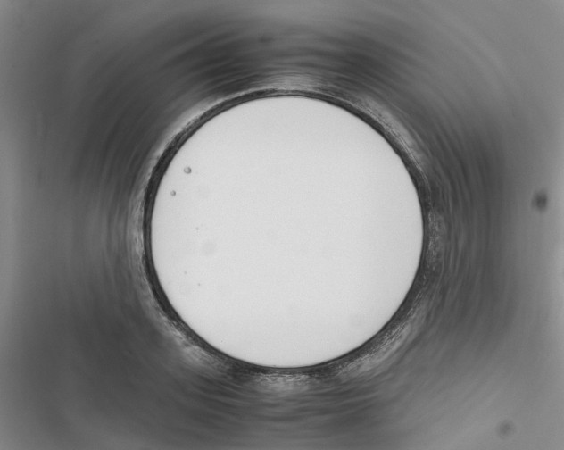 X0000116820939201001151202