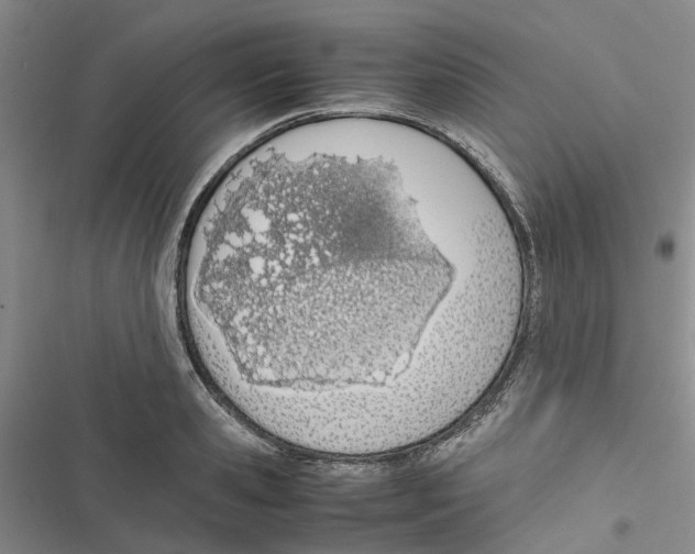 X0000116820941201001151202