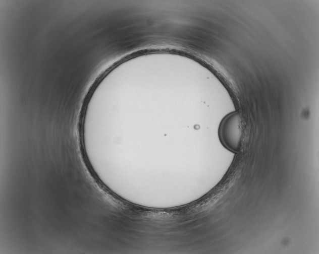 X0000116820943201001151202