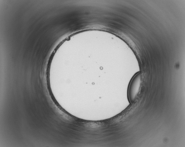 X0000116820947201001151202